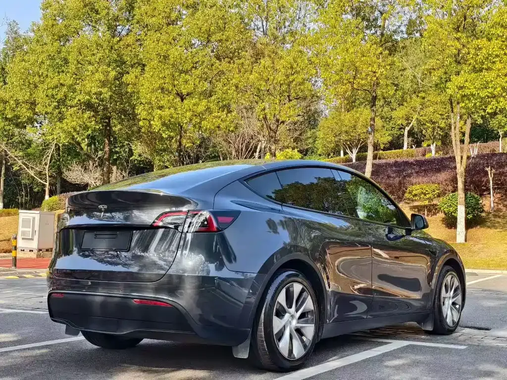 Tesla Model Y — фото 8