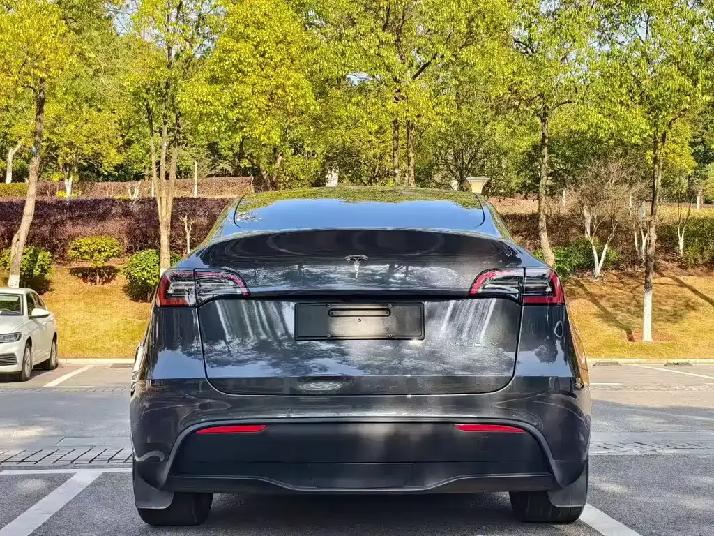 Tesla Model Y — фото 5