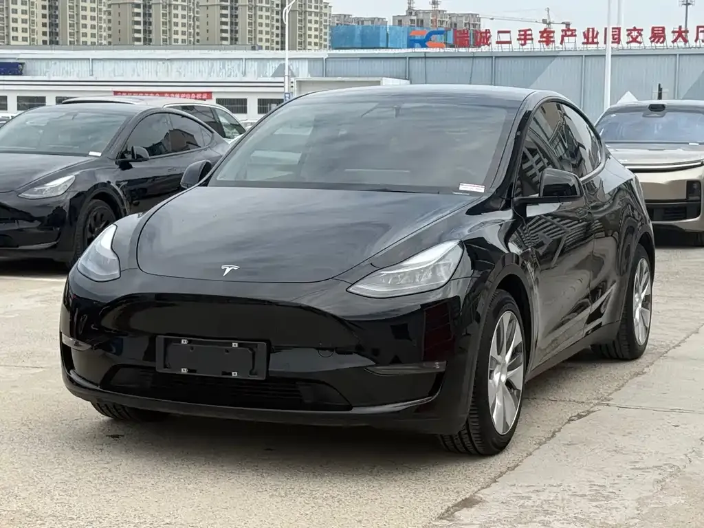 Tesla Model Y — фото 1