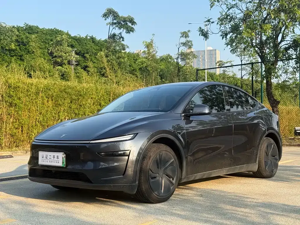 Tesla Model Y — фото 1