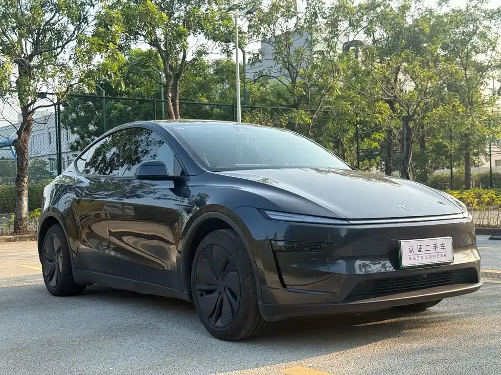 Tesla Model Y — фото 9
