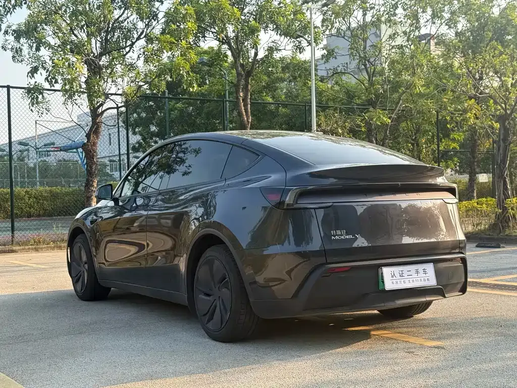 Tesla Model Y — фото 10