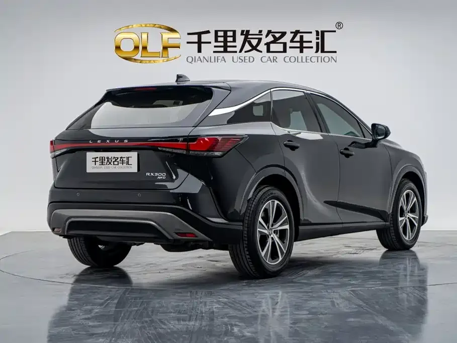 Lexus RX — фото 4