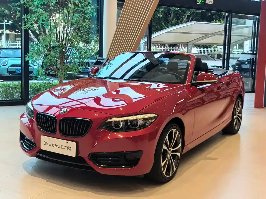 BMW 2 Series (Import) — фото 1