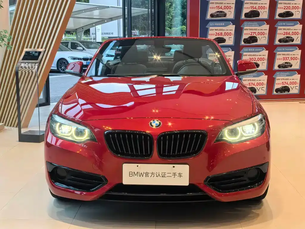 BMW 2 Series (Import) — фото 9