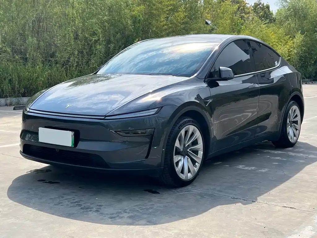 Tesla Model Y — фото 1