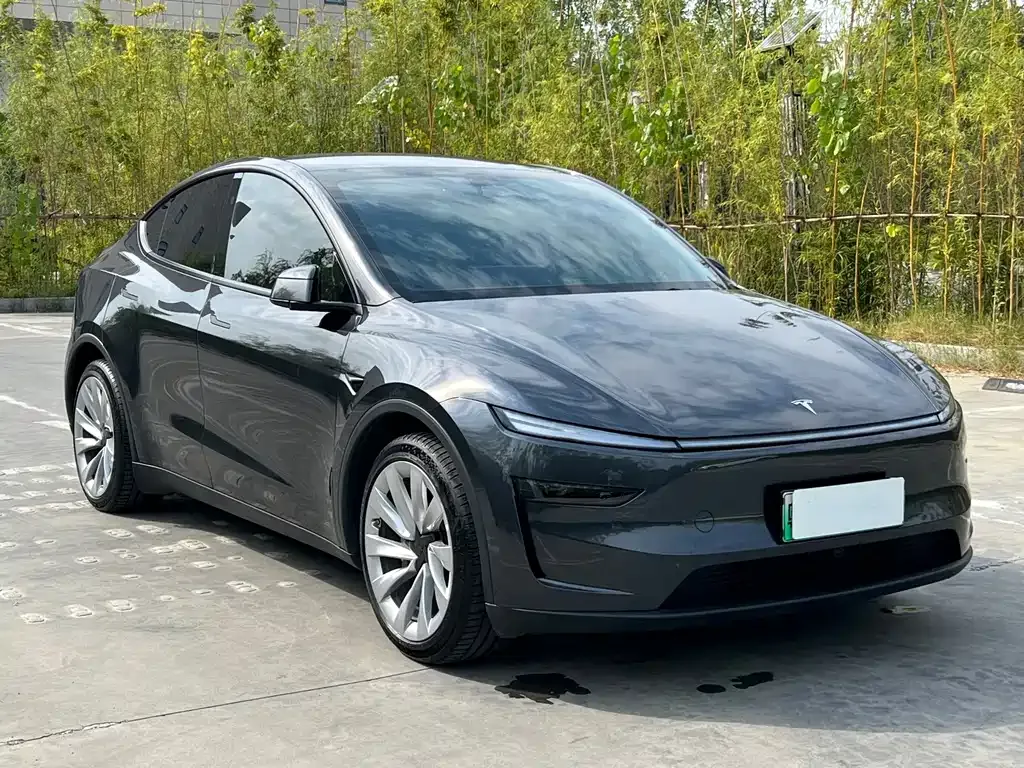 Tesla Model Y — фото 7