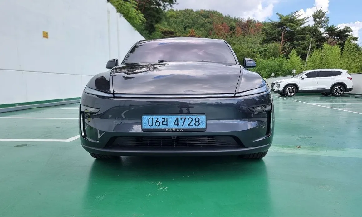 Tesla Model Y — фото 1