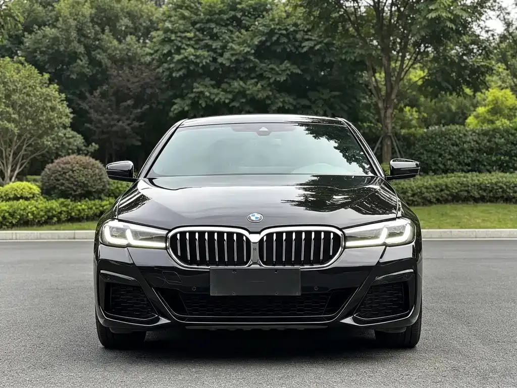 BMW 5 Series — фото 2
