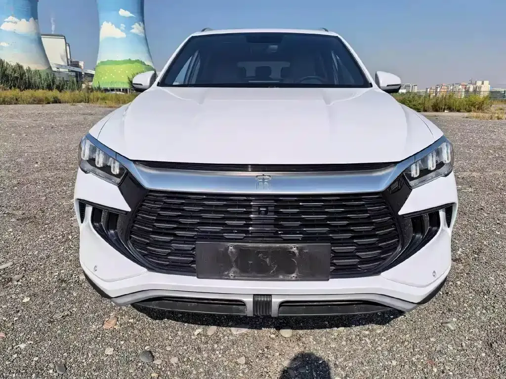 BYD Pro New Energy — фото 6