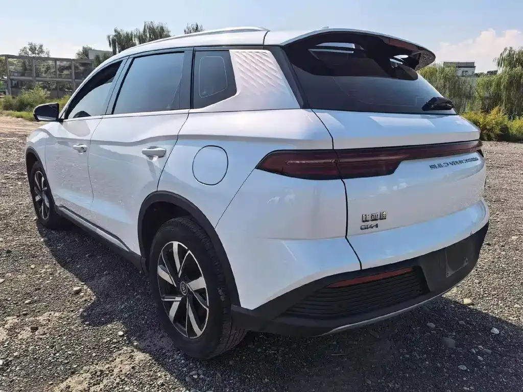 BYD Pro New Energy — фото 3
