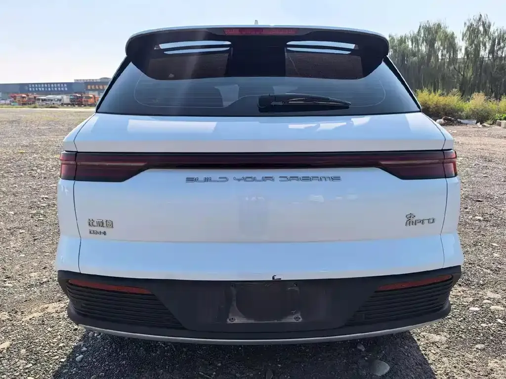 BYD Pro New Energy — фото 8