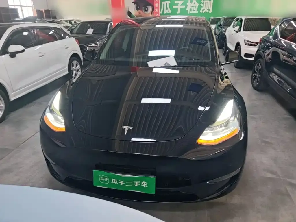 Tesla Model Y — фото 10