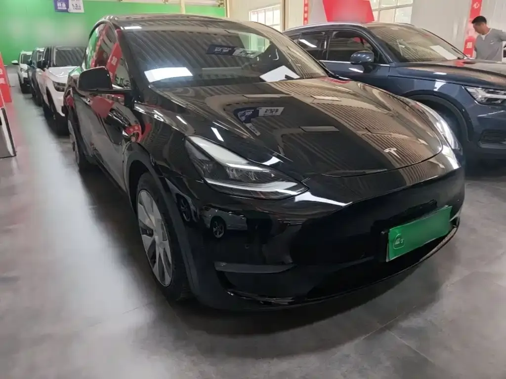 Tesla Model Y — фото 9