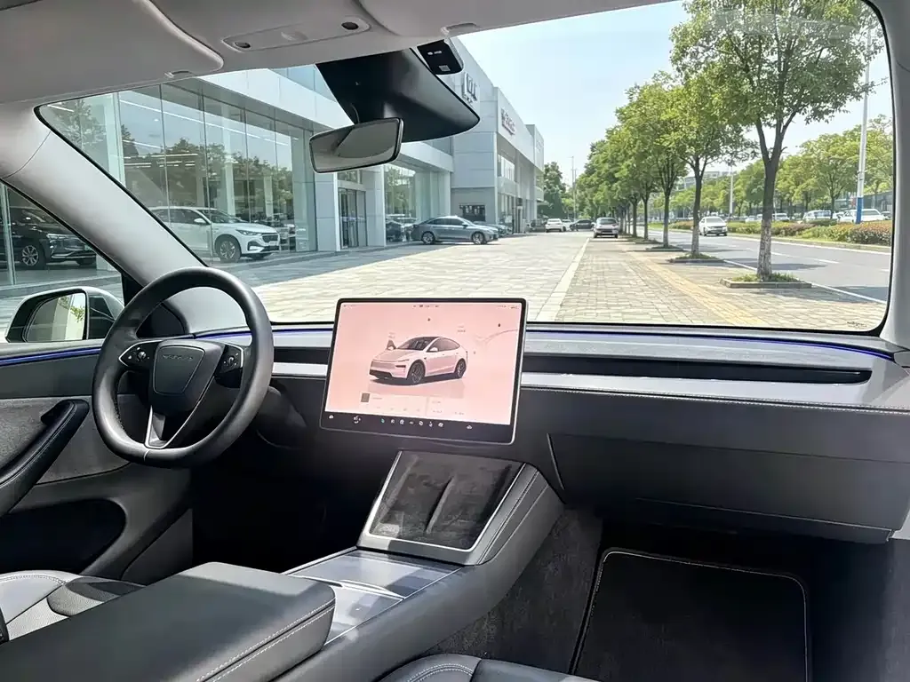 Tesla Model Y — фото 6