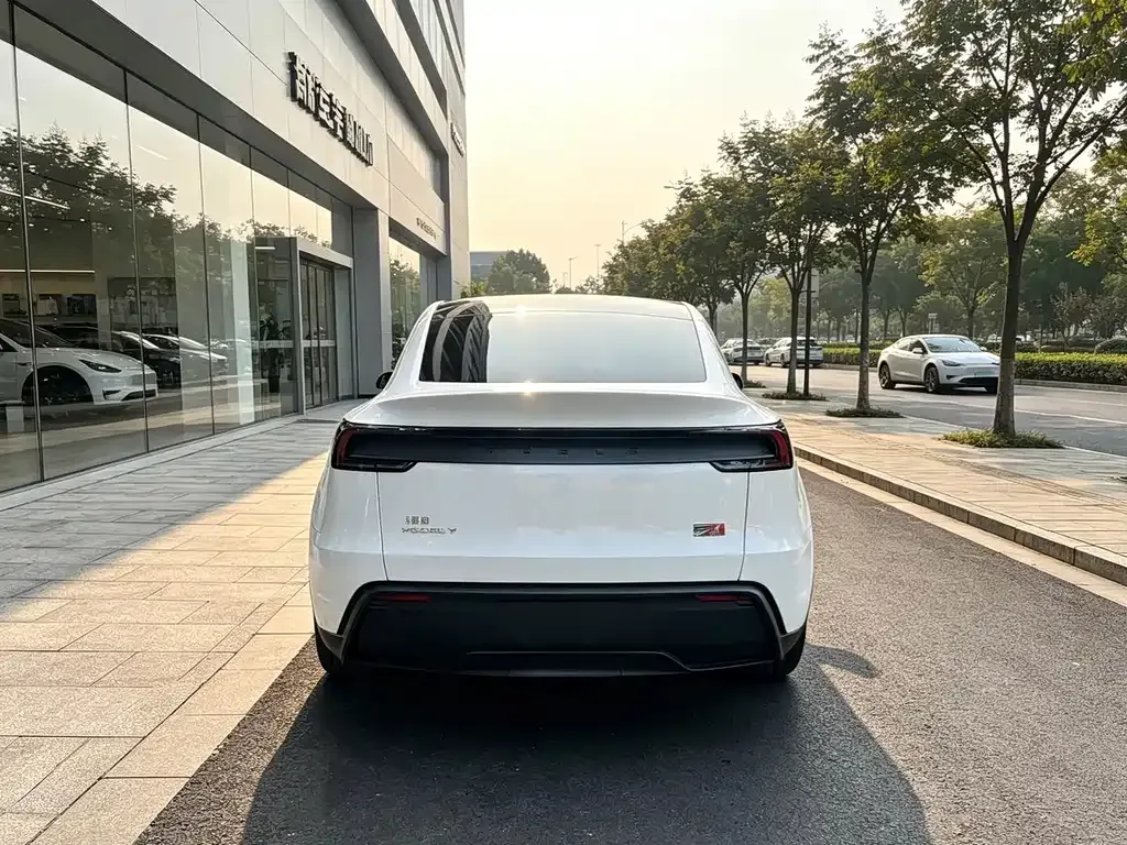 Tesla Model Y — фото 8