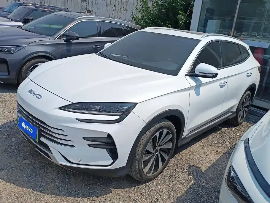 BYD PLUS New Energy — фото 1