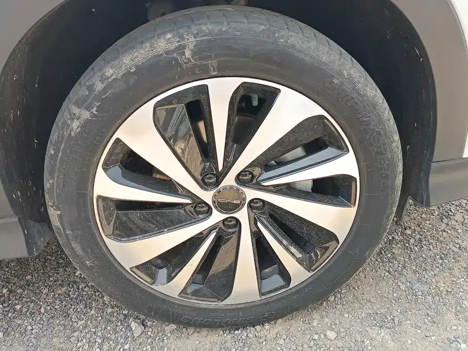 BYD PLUS New Energy — фото 10