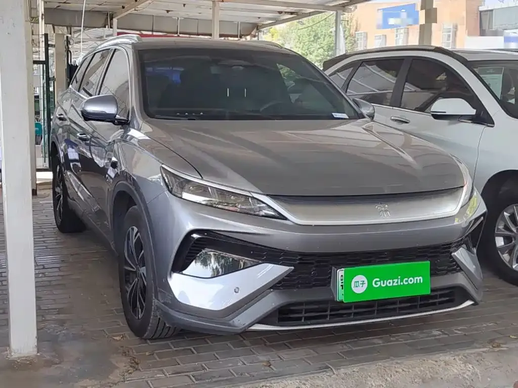 BYD Pro New Energy — фото 2