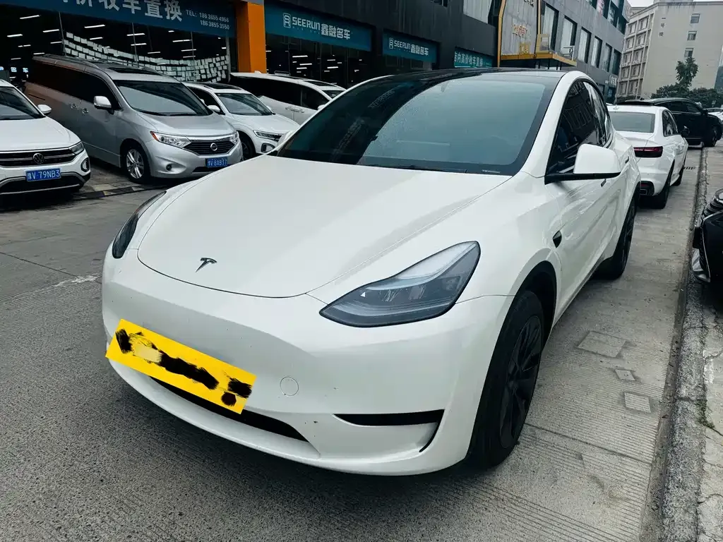 Tesla Model Y — фото 1