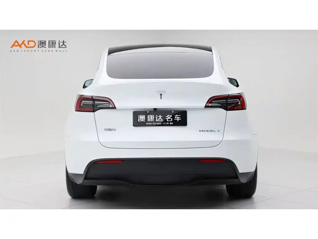Tesla Model Y — фото 9