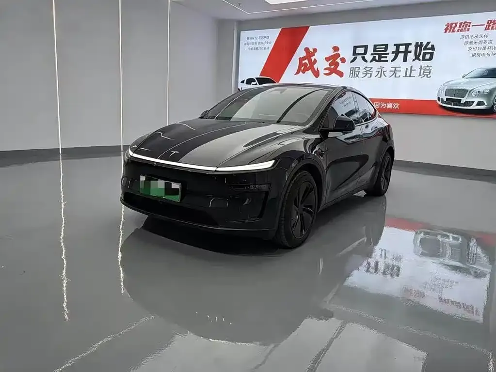 Tesla Model Y — фото 1