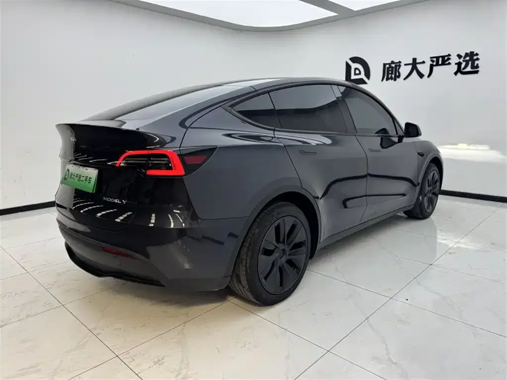 Tesla Model Y — фото 10