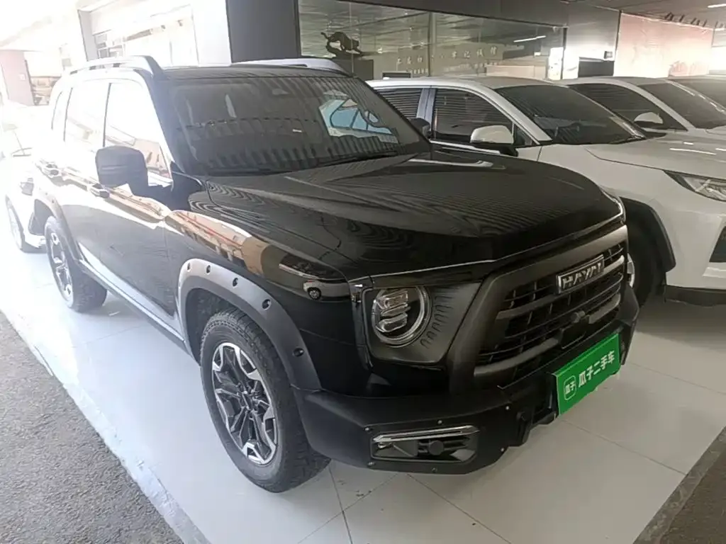 Haval Big Dog — фото 9