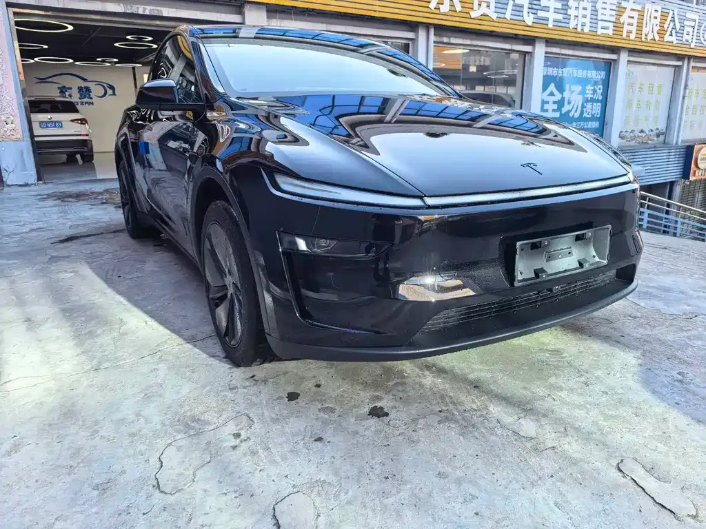 Tesla Model Y — фото 7