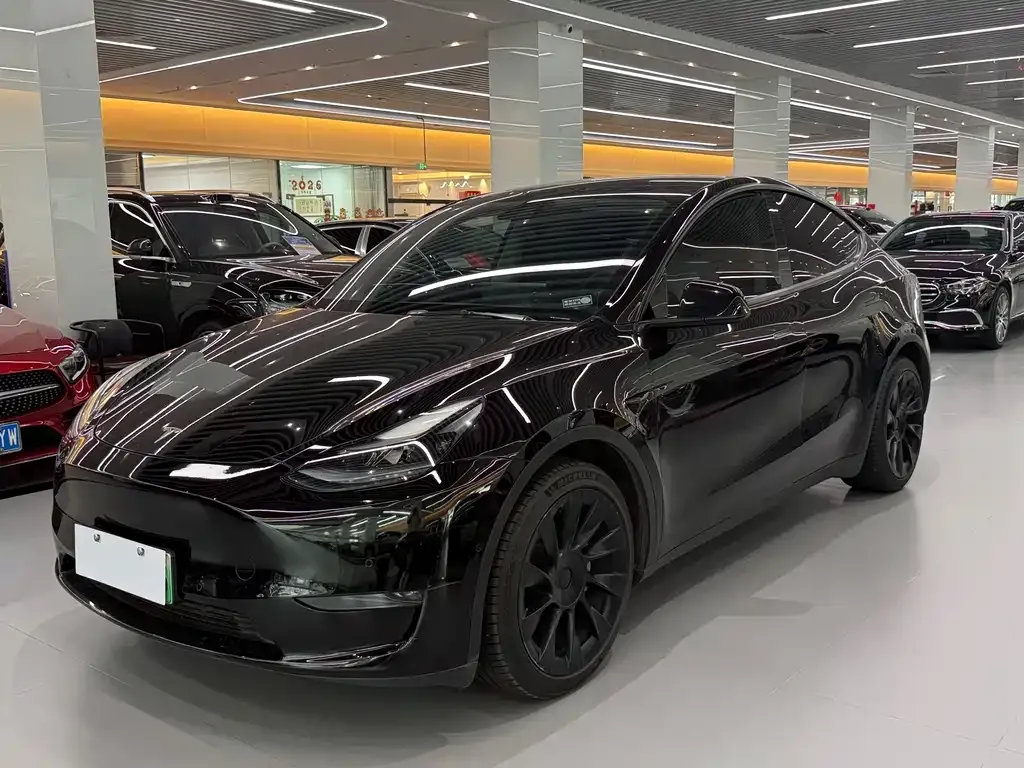 Tesla Model Y — фото 1