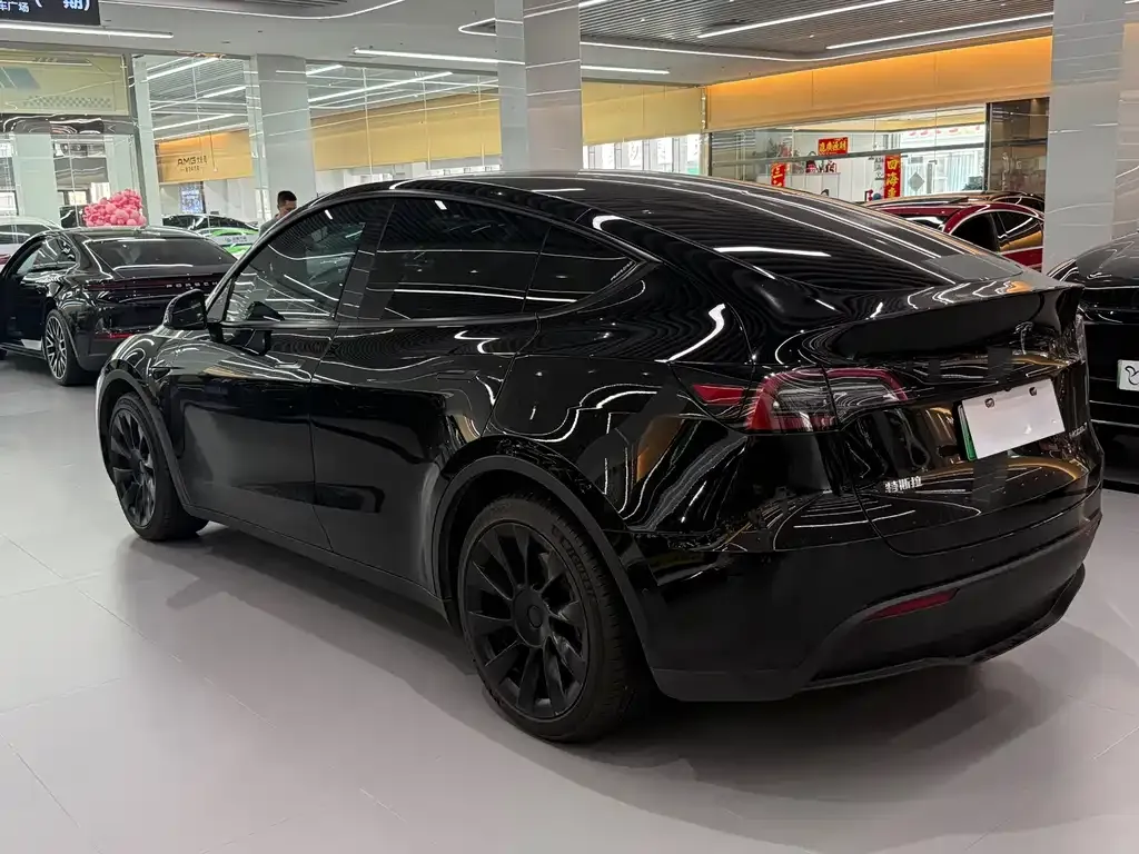 Tesla Model Y — фото 9