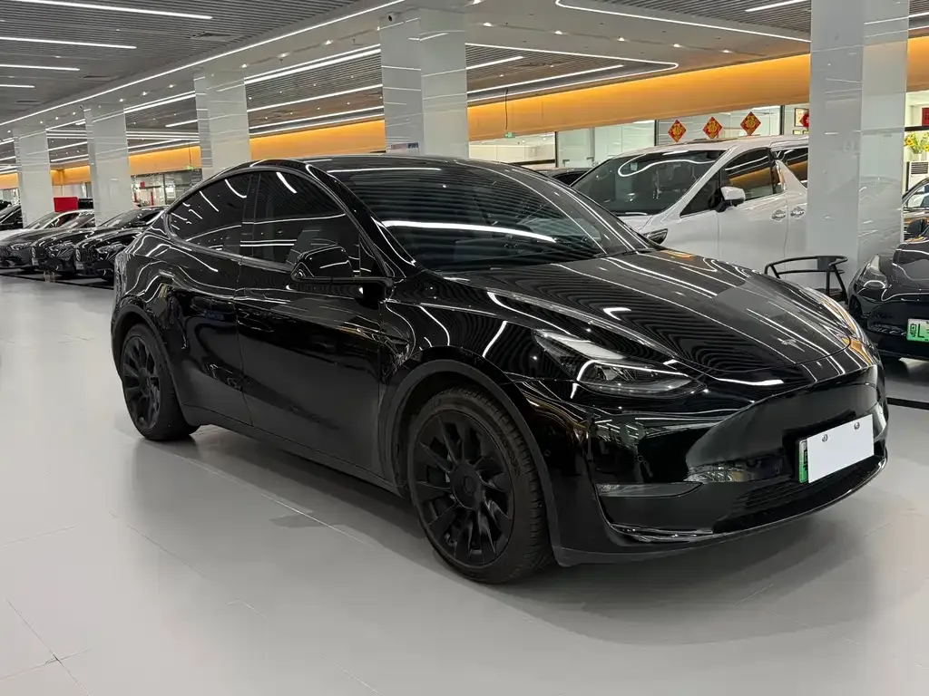Tesla Model Y — фото 8