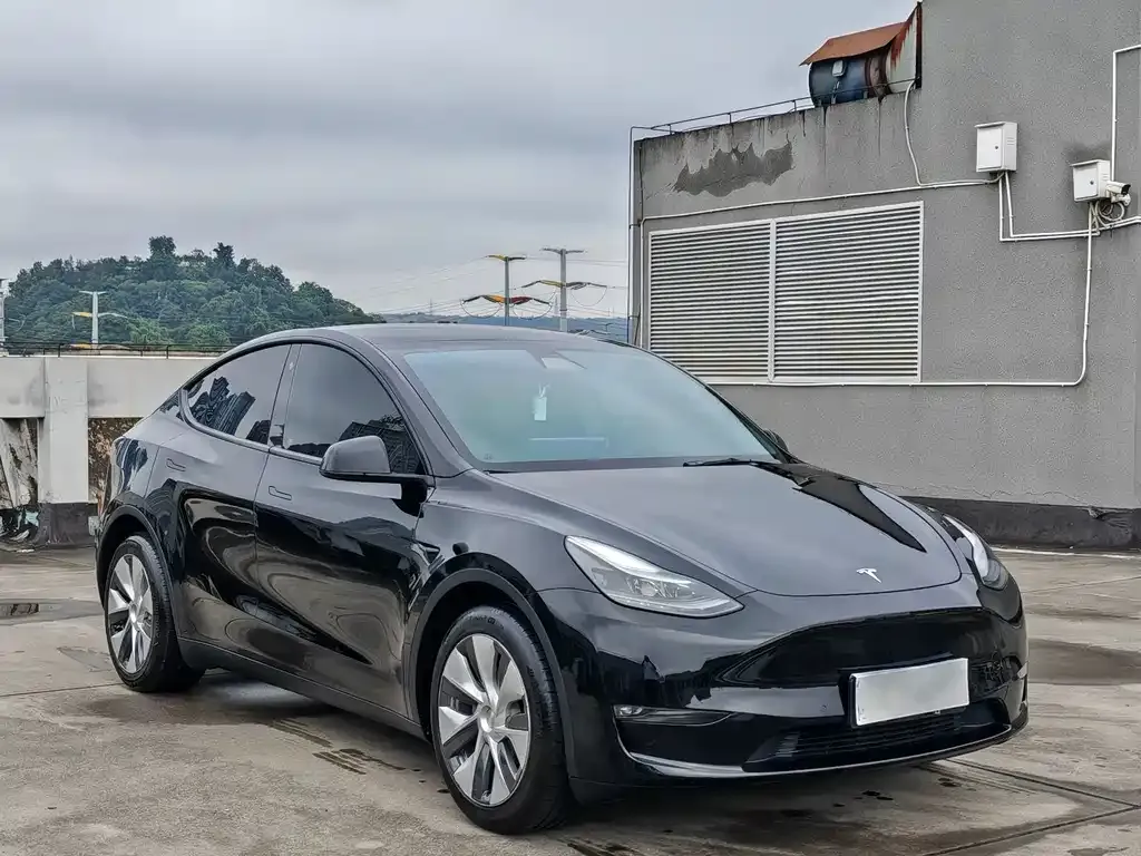 Tesla Model Y — фото 2