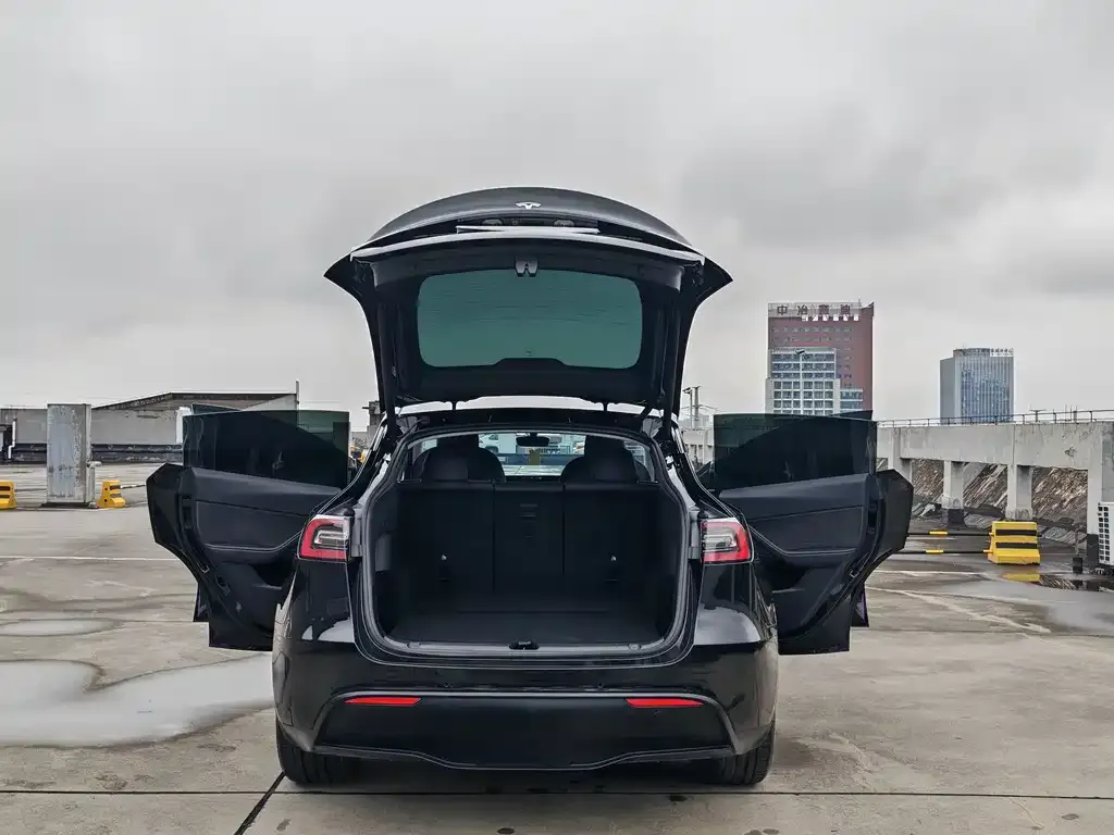 Tesla Model Y — фото 3