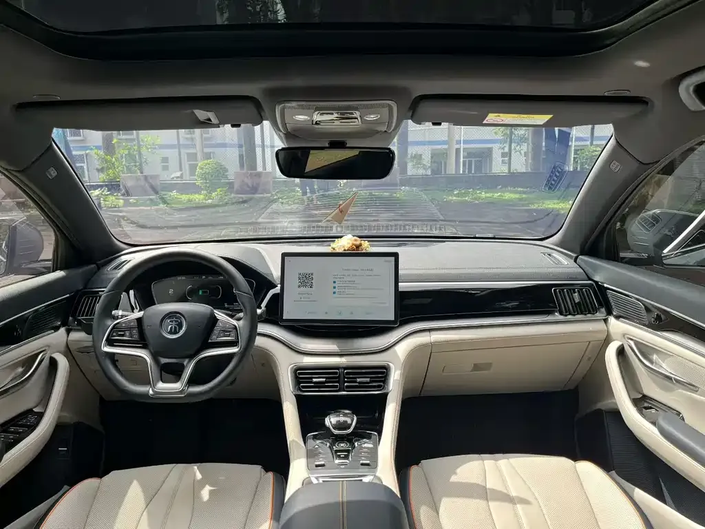 BYD PLUS New Energy — фото 6