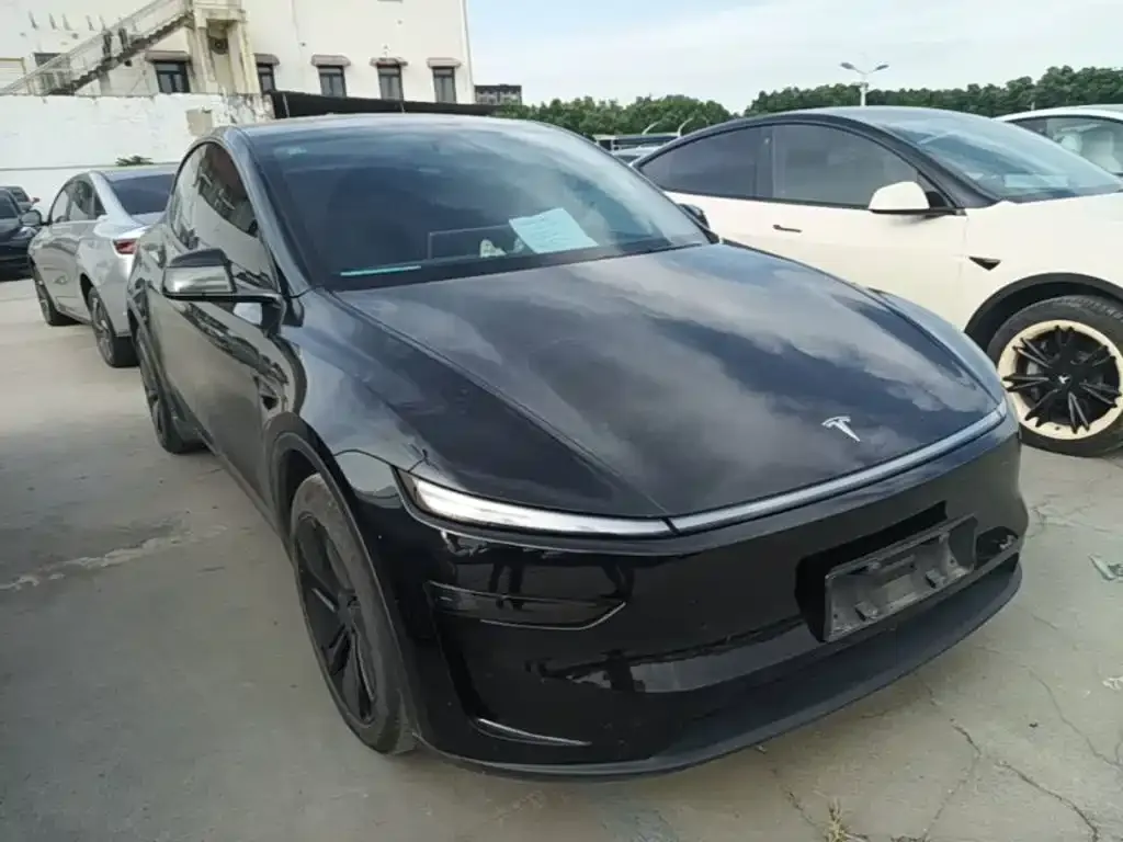 Tesla Model Y — фото 10