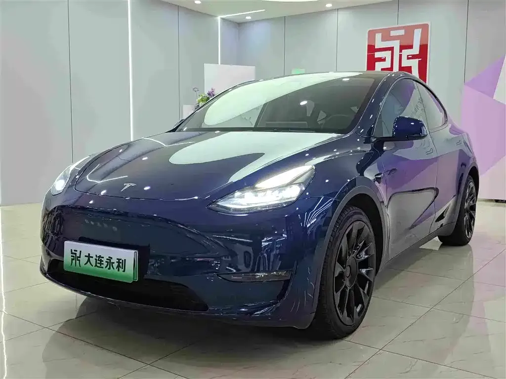 Tesla Model Y — фото 1