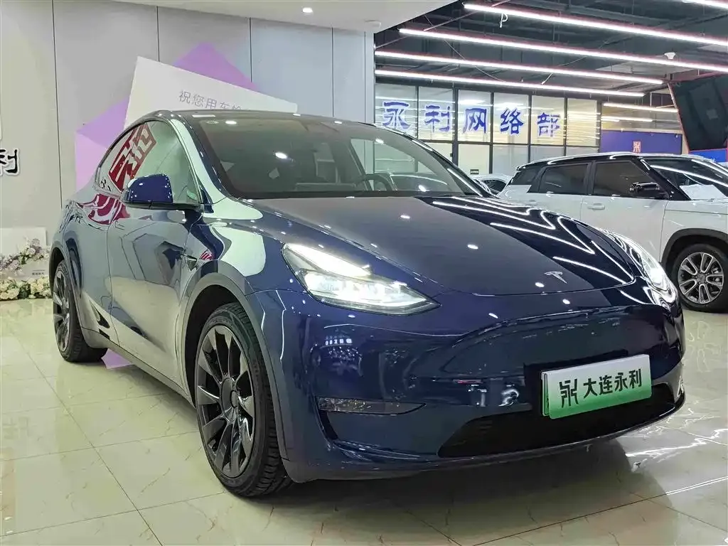 Tesla Model Y — фото 8