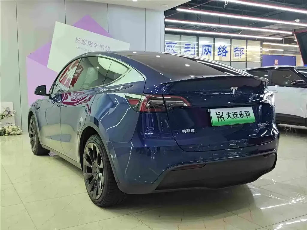 Tesla Model Y — фото 7