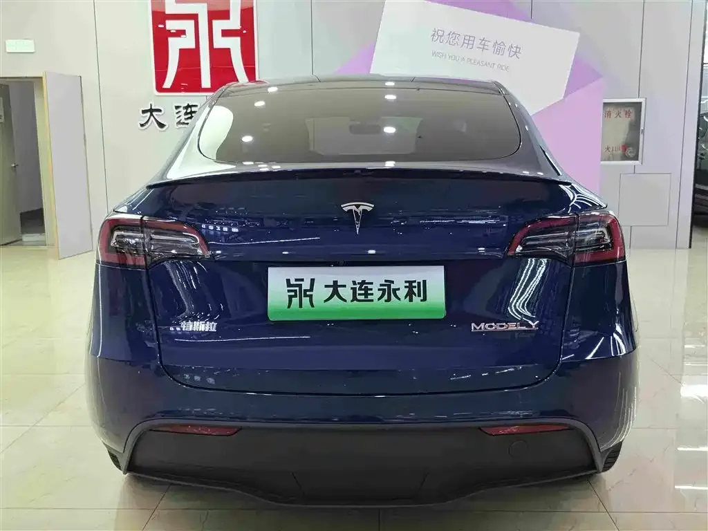 Tesla Model Y — фото 9