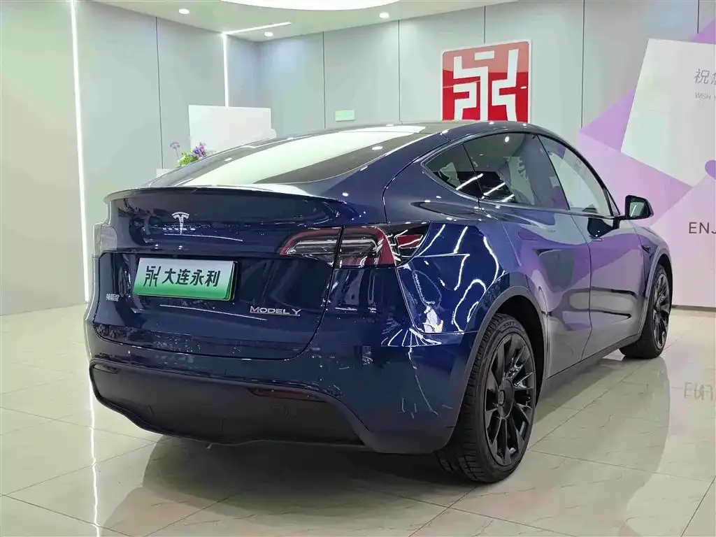 Tesla Model Y — фото 6