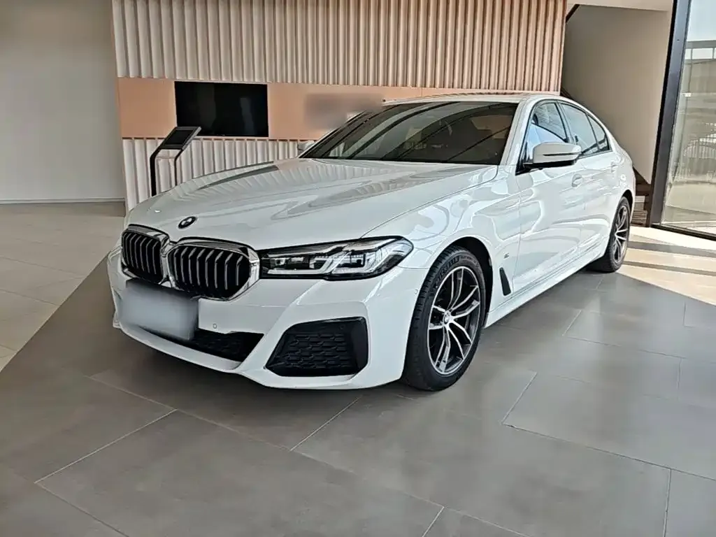 BMW 5 Series (Import) — фото 1