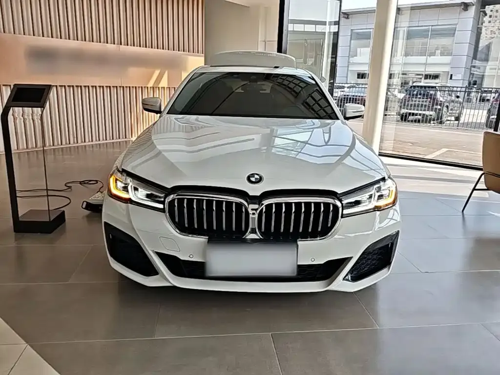 BMW 5 Series (Import) — фото 5