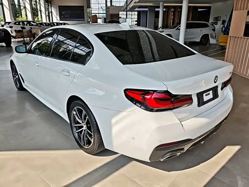 BMW 5 Series (Import) — фото 3