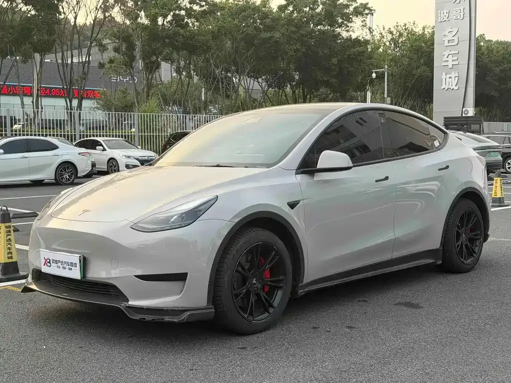 Tesla Model Y — фото 1