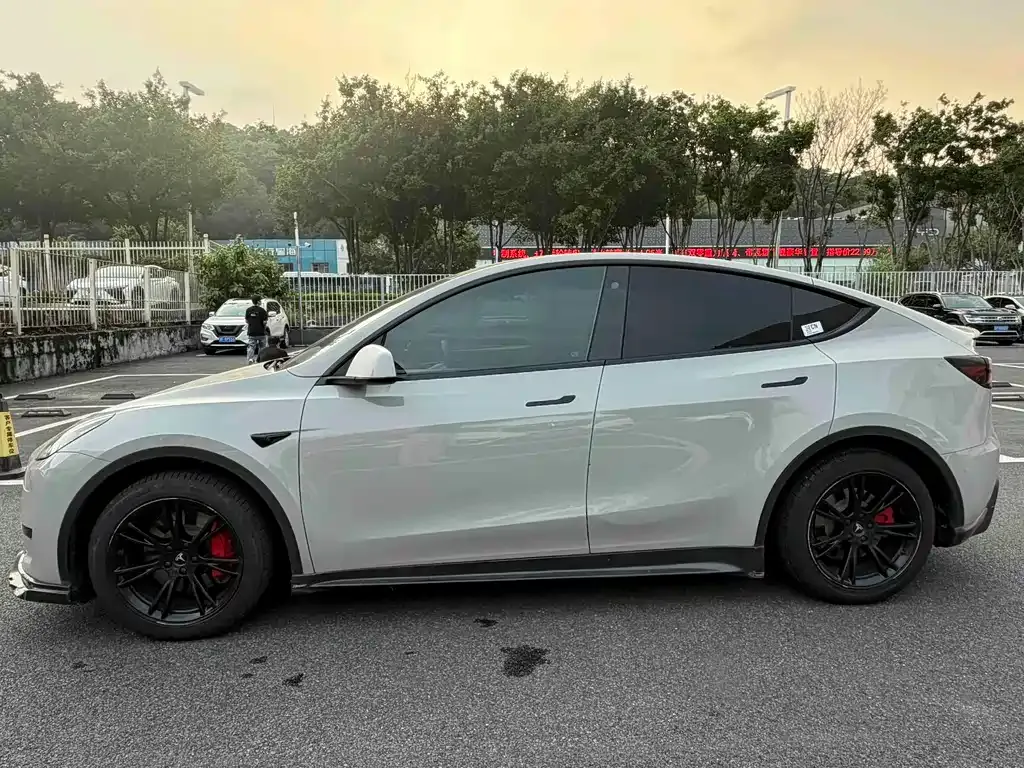 Tesla Model Y — фото 10