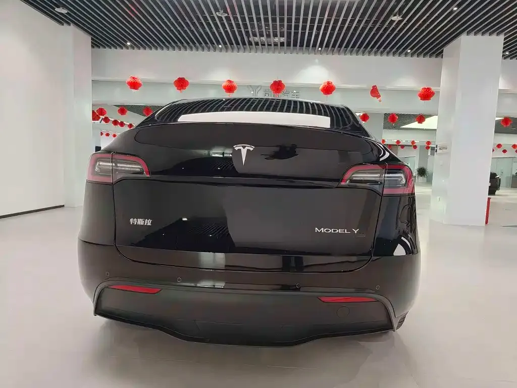 Tesla Model Y — фото 2