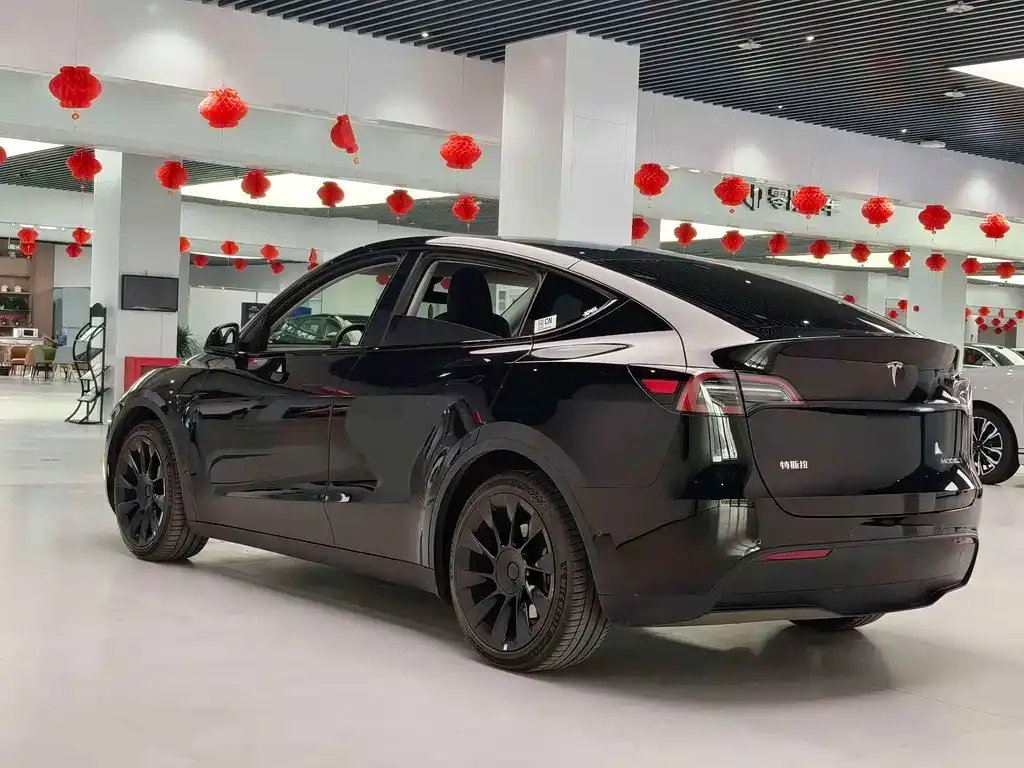 Tesla Model Y — фото 8