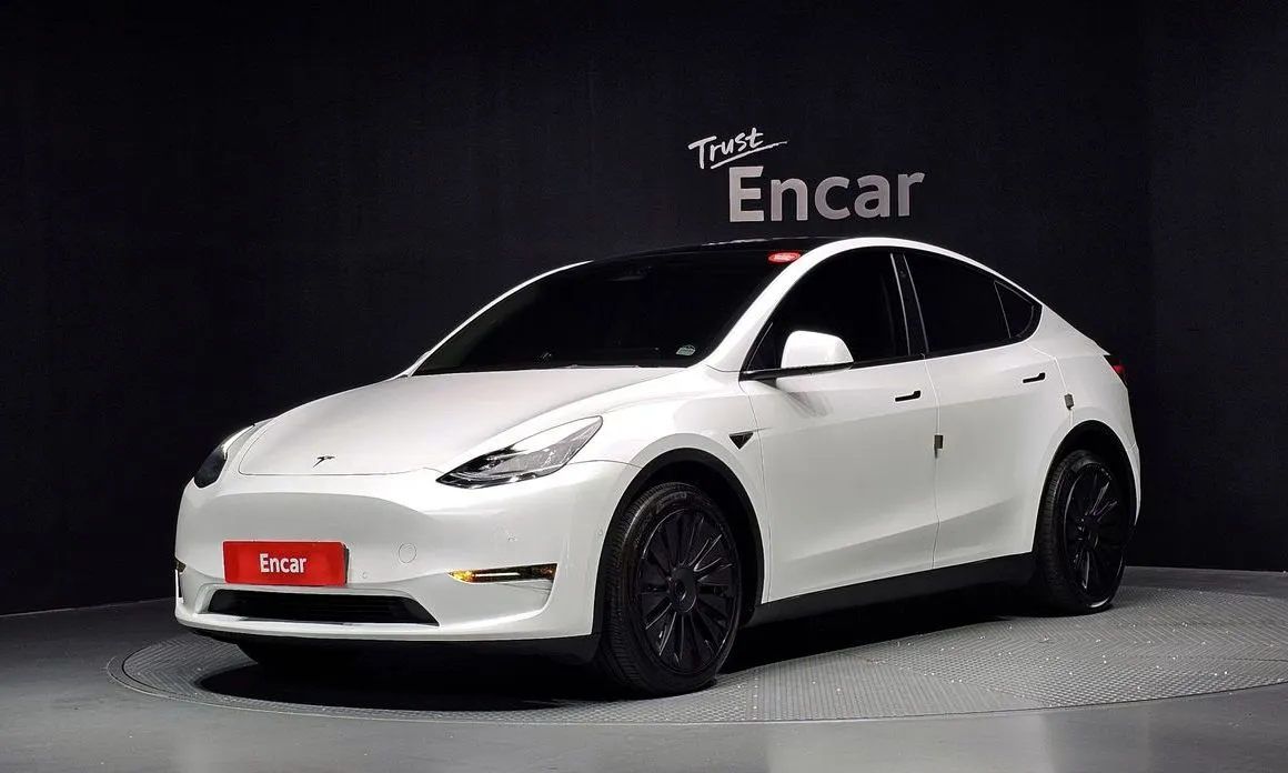 Tesla Model Y — фото 1