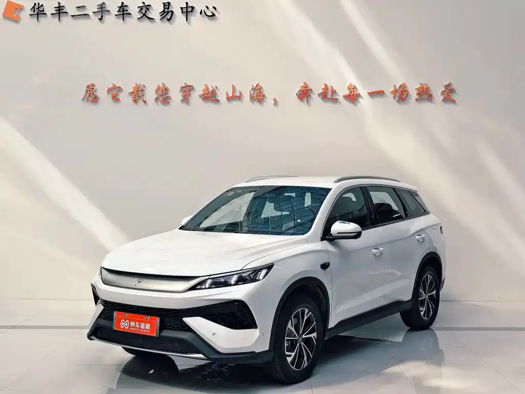 BYD Pro New Energy — фото 1